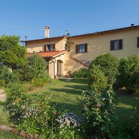 Villa Porcigliano Olive Grove Polcanto エクステリア 写真
