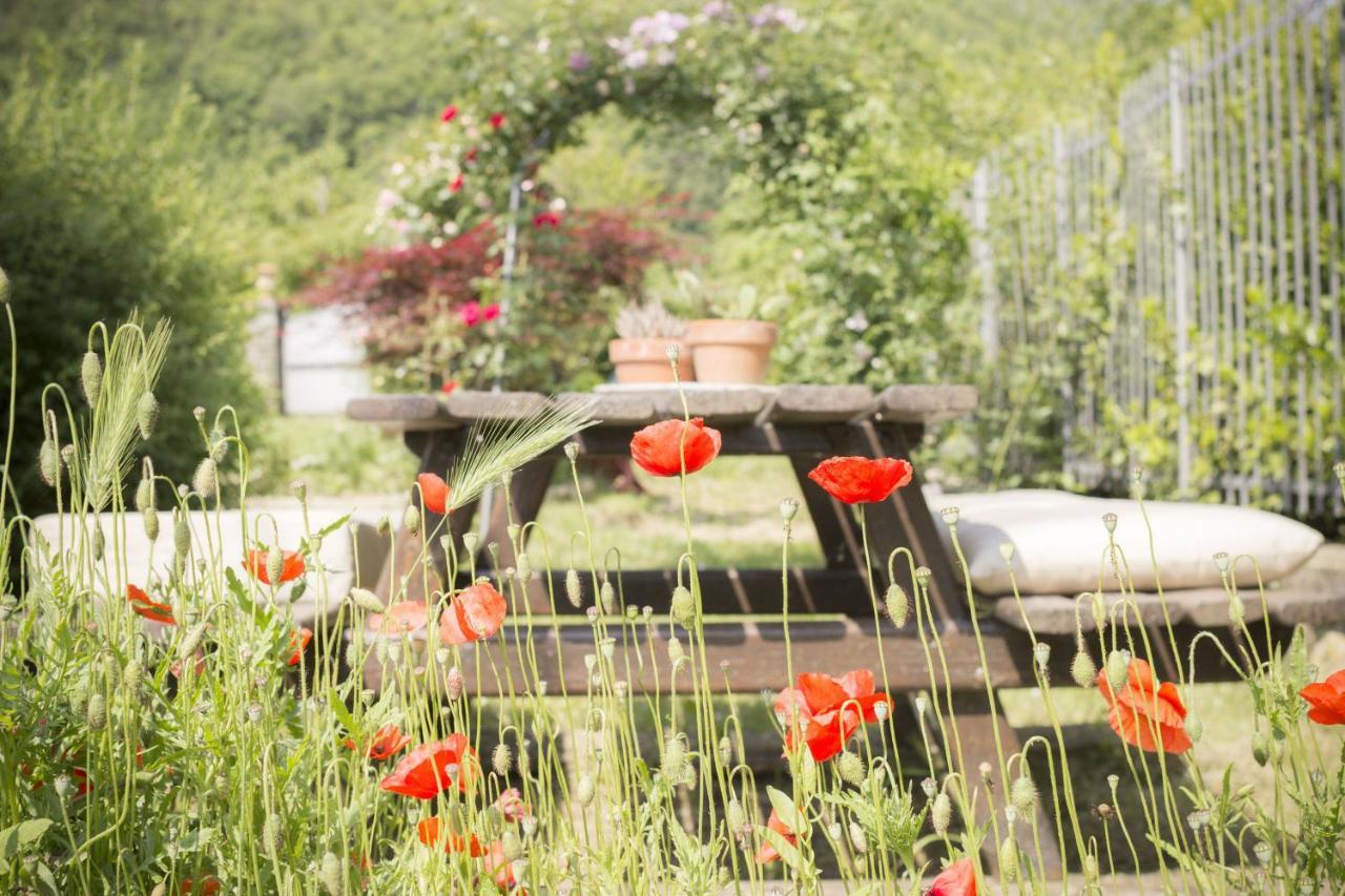Villa Porcigliano Olive Grove Polcanto エクステリア 写真