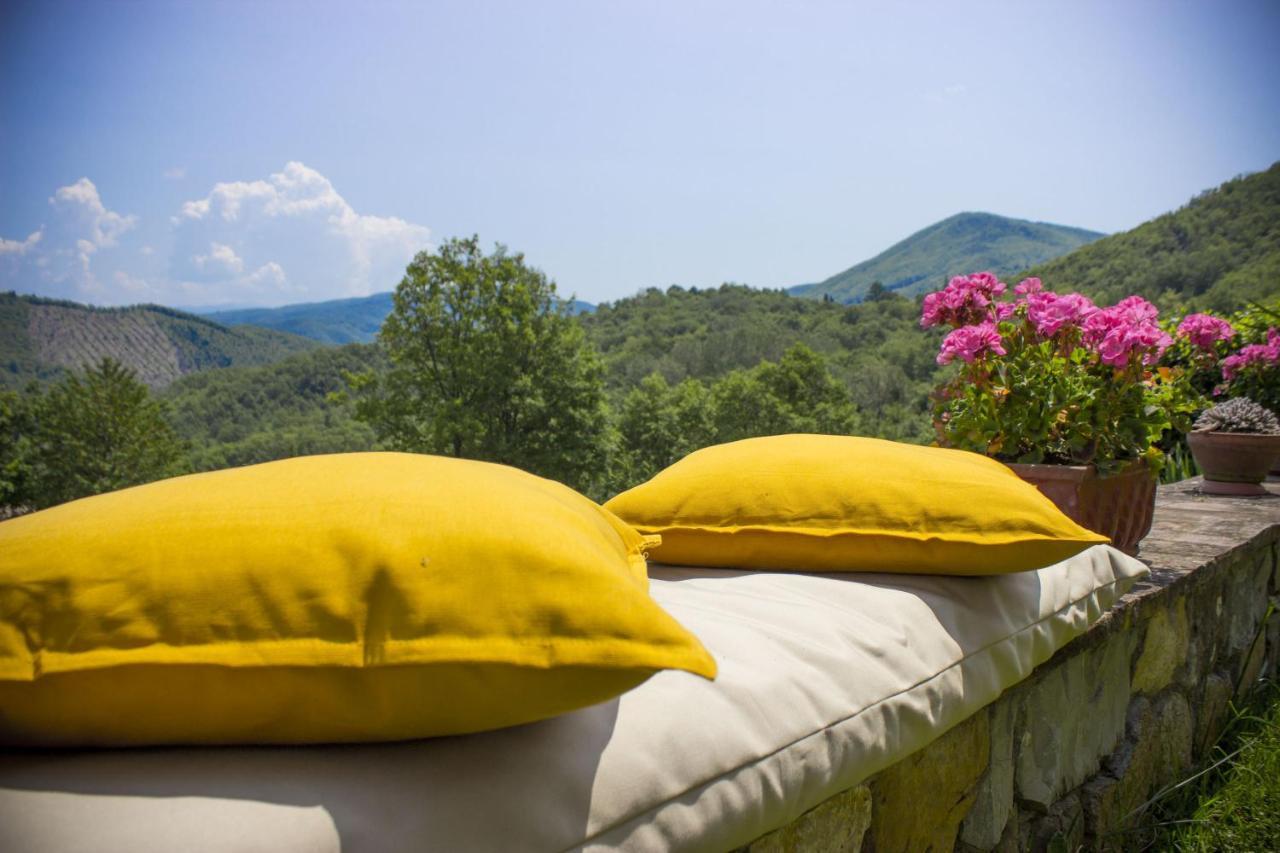 Villa Porcigliano Olive Grove Polcanto エクステリア 写真