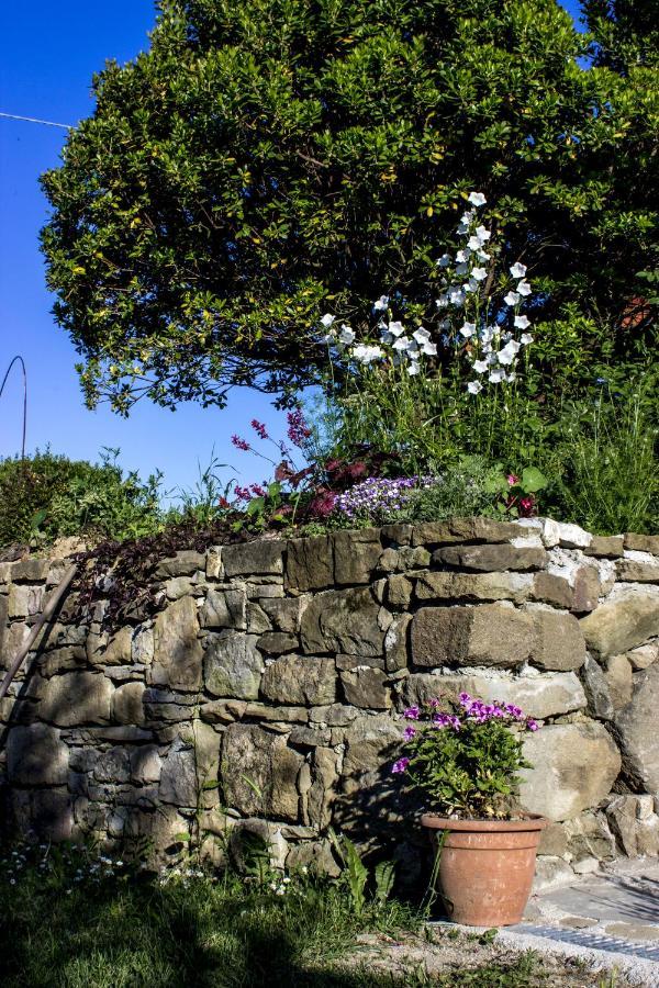 Villa Porcigliano Olive Grove Polcanto エクステリア 写真