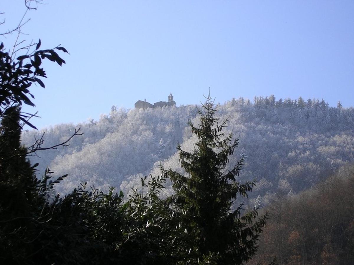 Villa Porcigliano Olive Grove Polcanto エクステリア 写真