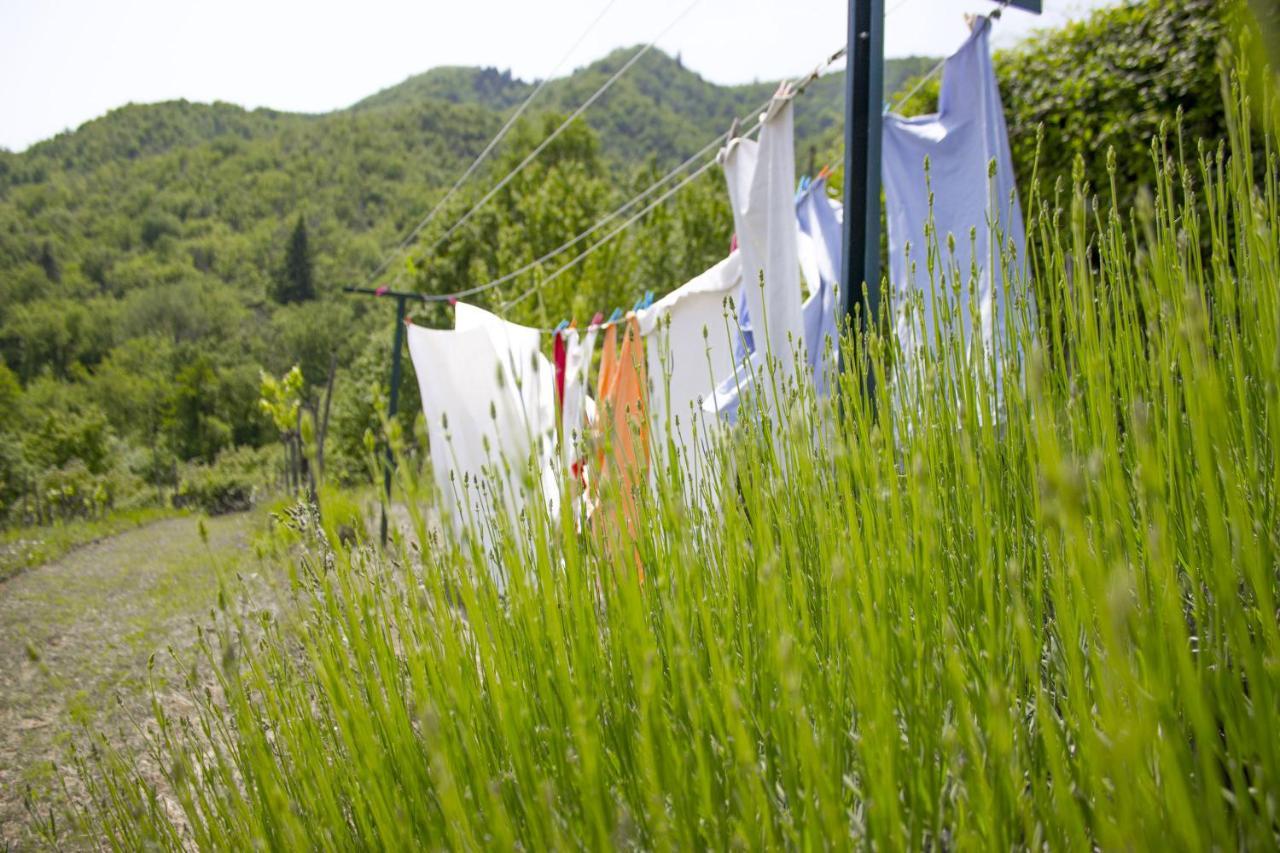 Villa Porcigliano Olive Grove Polcanto エクステリア 写真