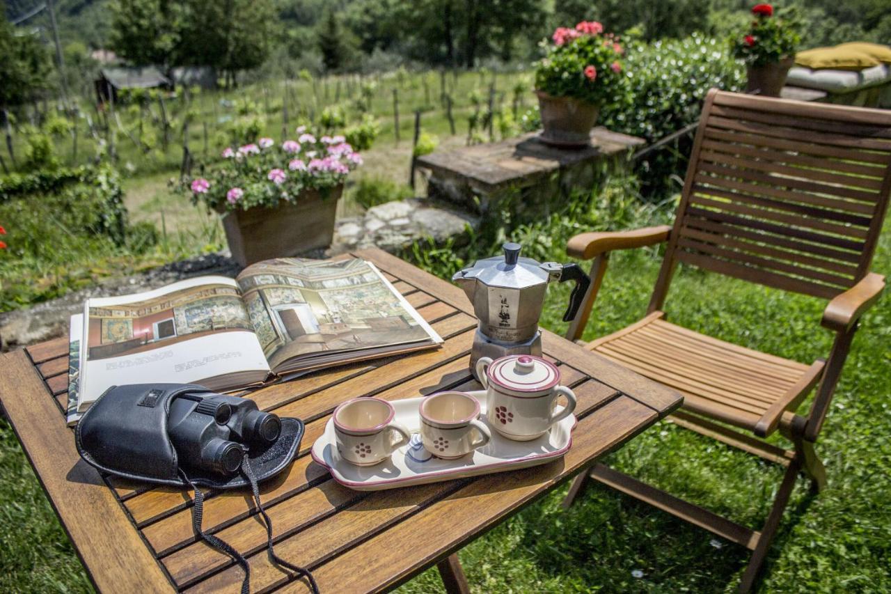 Villa Porcigliano Olive Grove Polcanto エクステリア 写真