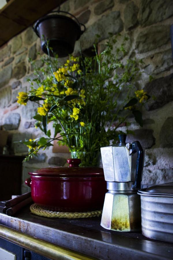 Villa Porcigliano Olive Grove Polcanto エクステリア 写真