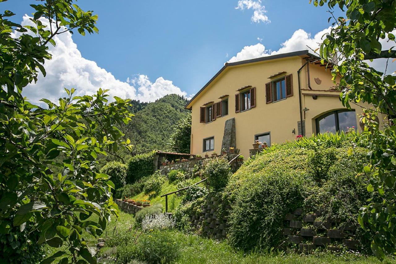 Villa Porcigliano Olive Grove Polcanto エクステリア 写真