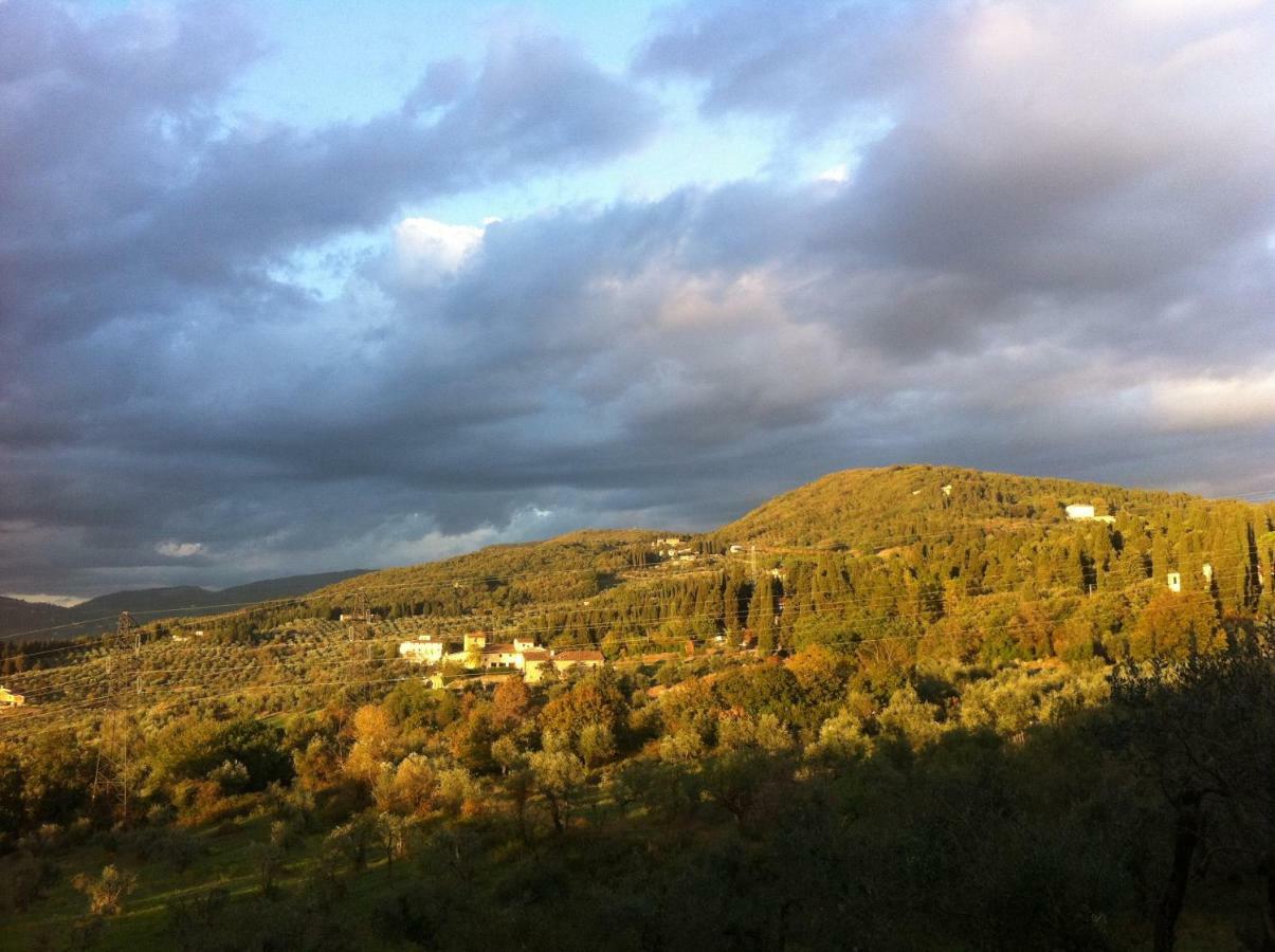 Villa Porcigliano Olive Grove Polcanto エクステリア 写真