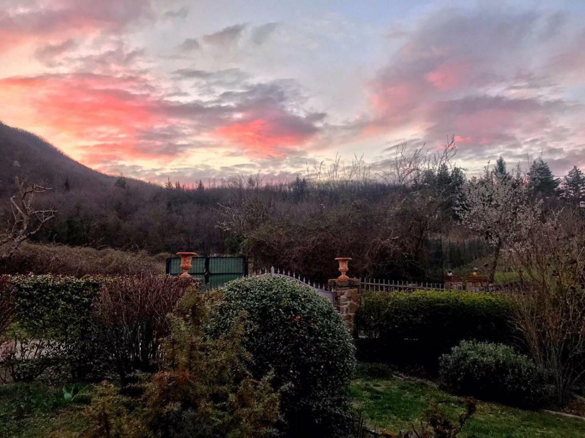 Villa Porcigliano Olive Grove Polcanto エクステリア 写真